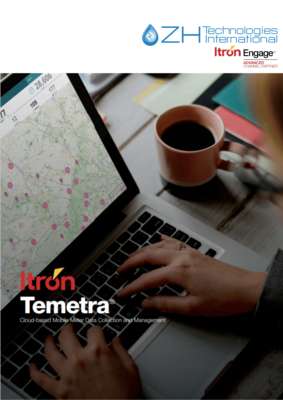 Itron Temetra - Nex Generation MDM